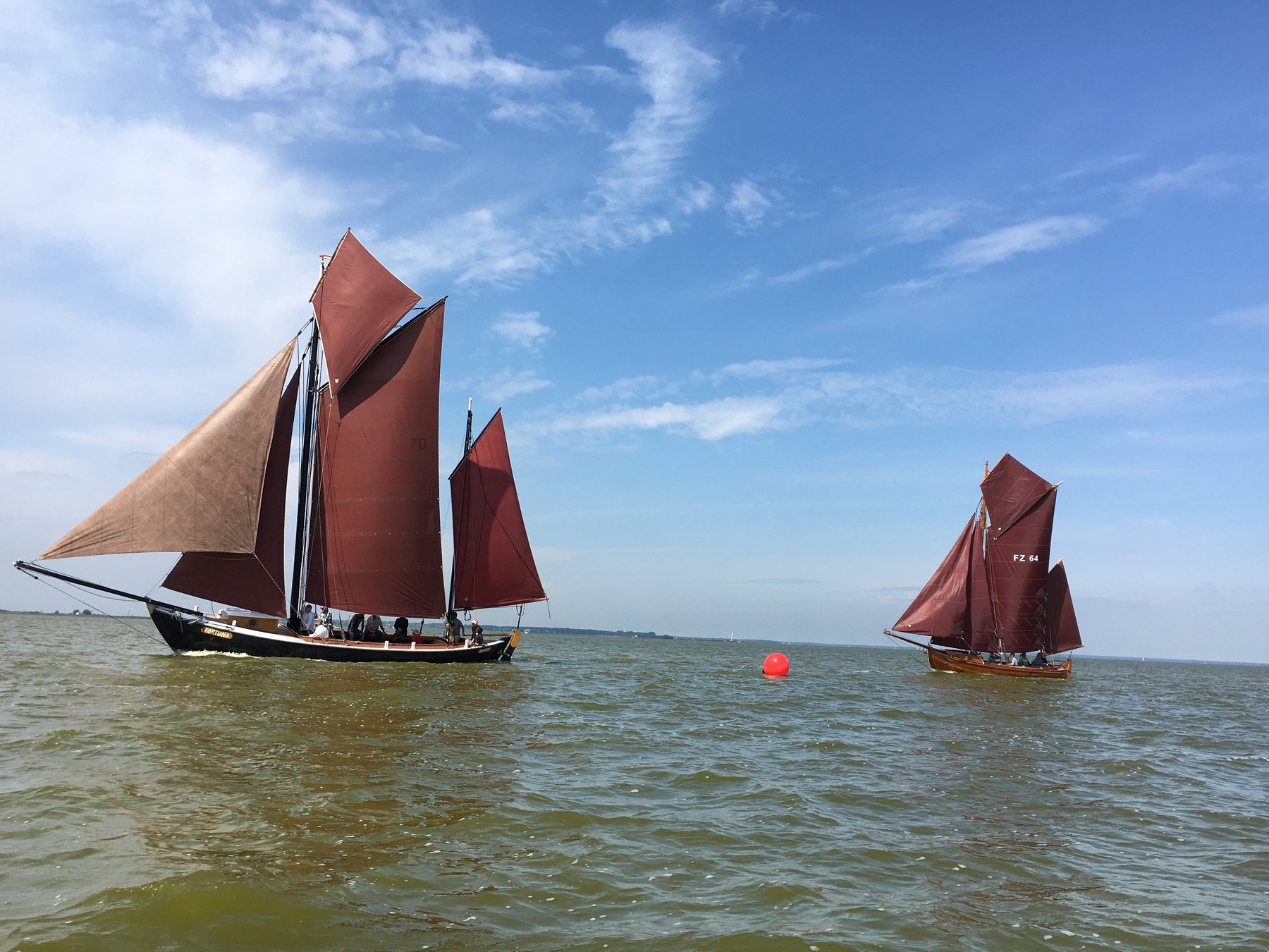 Mehrere Zeesboote mit rotbraunen Segeln im Regattafeld auf dem Saaler Bodden